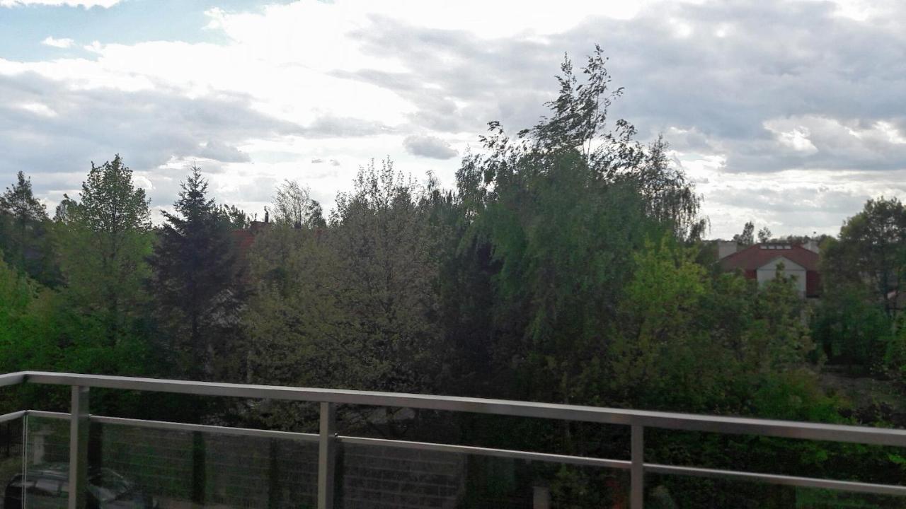 Butas Silver In Wilanow *